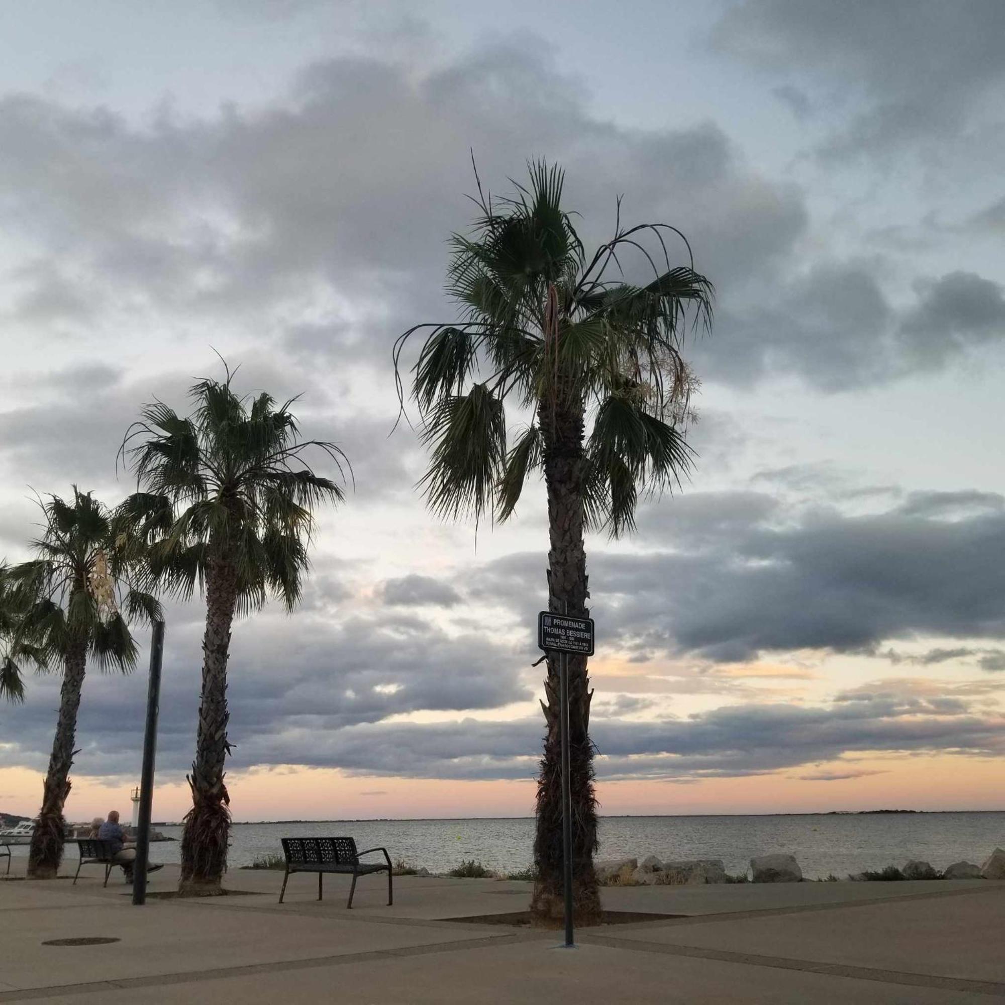 La Baraquette De Thau Villa Mèze Buitenkant foto